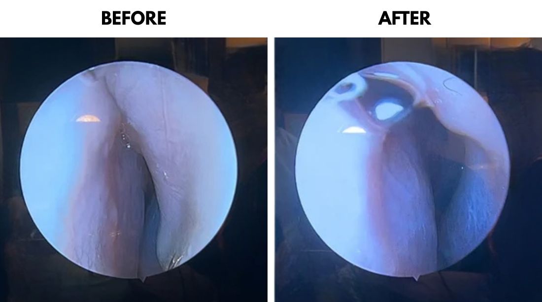CLINICALLY BACKED & DOCTOR RECOMMENDED