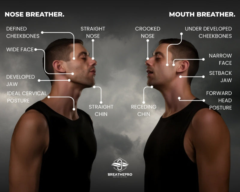 Diagram comparing features of 'Nose Breathers' and 'Mouth Breathers' with labeled differences.